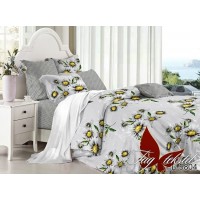Комплект постельного белья Tag Tekstil 1.5-спальный PL5804