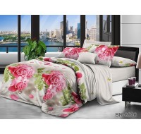 Комплект постельного белья Tag Tekstil поликоттон 1.5 сп. BR6536