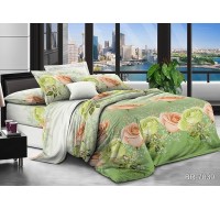 Комплект постельного белья Tag Tekstil поликоттон 2 сп. BR-7039