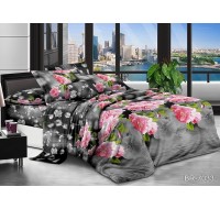 Комплект постельного белья Tag Tekstil поликоттон евро BR-7033