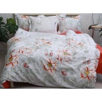 Комплект постельного белья Tag Tekstil премиум серия сатин мерсеризованный 100% хлопок реактивное окрашивание семейный (PT-017)