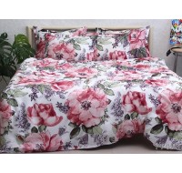 Комплект постельного белья Tag Tekstil премиум серия сатин мерсеризованный 100% хлопок реактивное окрашивание 2 сп. (PT-022)
