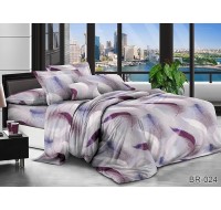Комплект постельного белья Tag Tekstil поликоттон 2 сп. BR-024