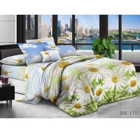 Комплект постельного белья Tag Tekstil поликоттон 2 сп. BR-179