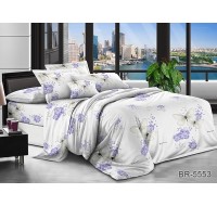 Комплект постельного белья Tag Tekstil поликоттон 2 сп. BR-5553