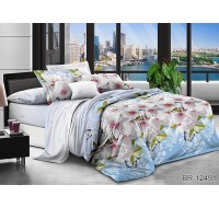 Комплект постельного белья Tag Tekstil поликоттон 2 сп. BR-12491