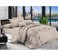 Комплект постельного белья Tag Tekstil поликоттон евро BR-256