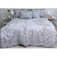 Комплект постельного белья Tag Tekstil премиум серия с компаньоном хлопок реактивное окрашивание семейный (PT-R01)