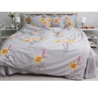 Комплект постельного белья Tag Tekstil премиум серия с компаньоном хлопок реактивное окрашивание 2 сп. (PT-R05)