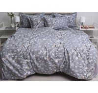 Комплект постельного белья Tag Tekstil премиум серия с компаньоном хлопок реактивное окрашивание 2 сп. (PT-R15)