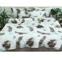 Комплект постельного белья Tag Tekstil с компаньоном хлопок ренфорс 1.5 сп. Перо (R-T9149)