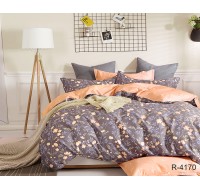 Комплект постельного белья с компаньоном Tag Tekstil 1.5-спальный R4170