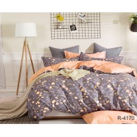 Комплект постельного белья с компаньоном Tag Tekstil 1.5-спальный R4170