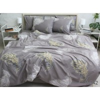 Комплект постельного белья Tag Tekstil с компаньоном сатин люкс 100% хлопок 2 сп. (S542)